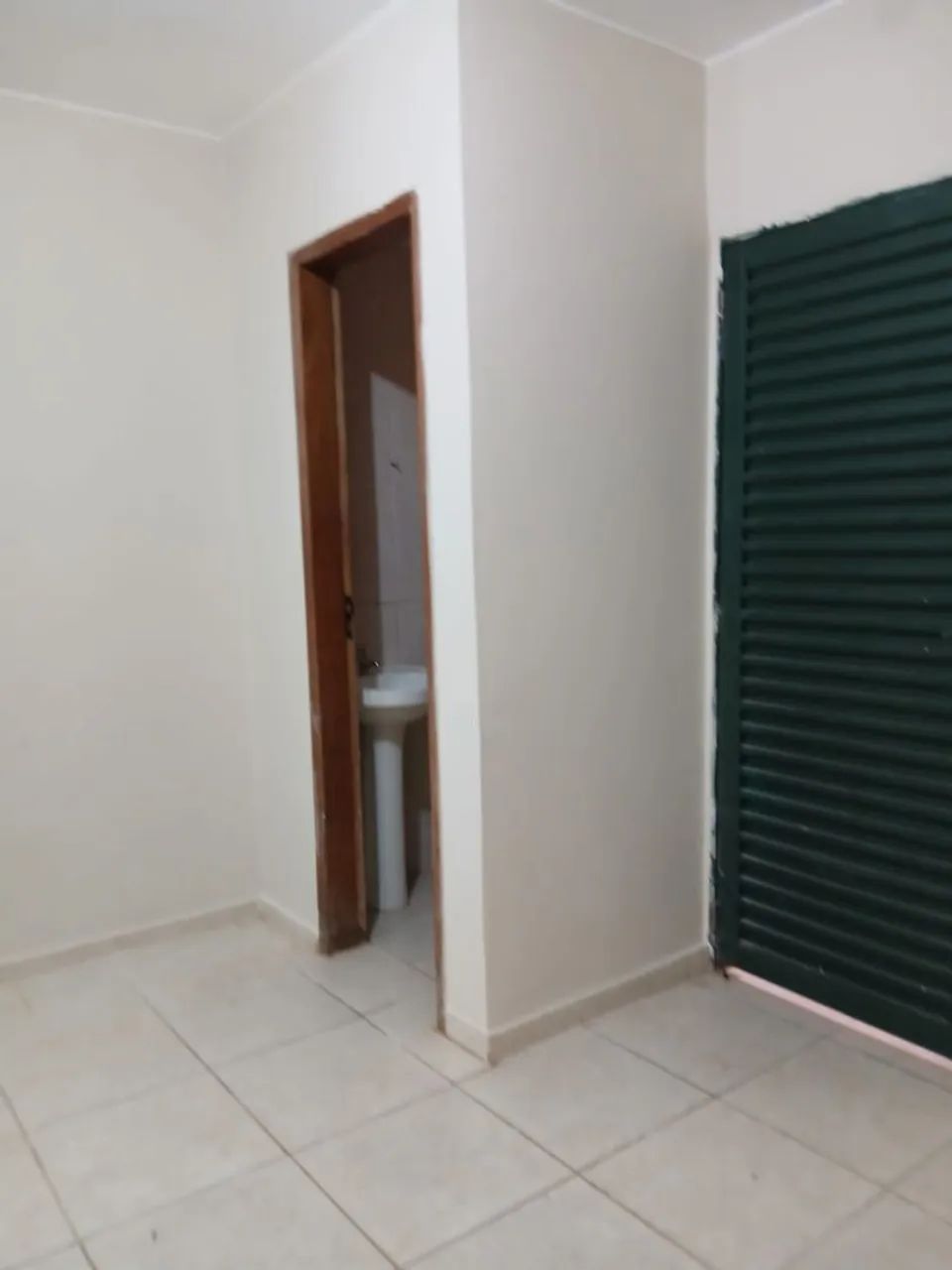 Kitinet ampla 