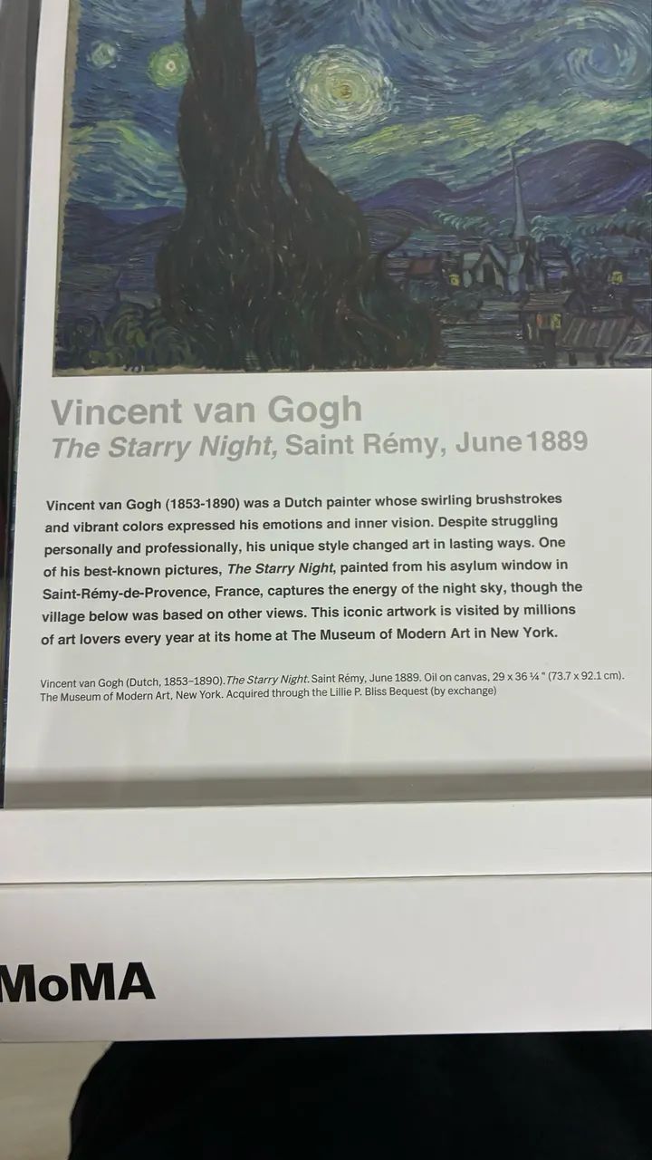 Boneca Barbie X Moma Da Noite Estrelada Vincent Van Gogh - Foto 6