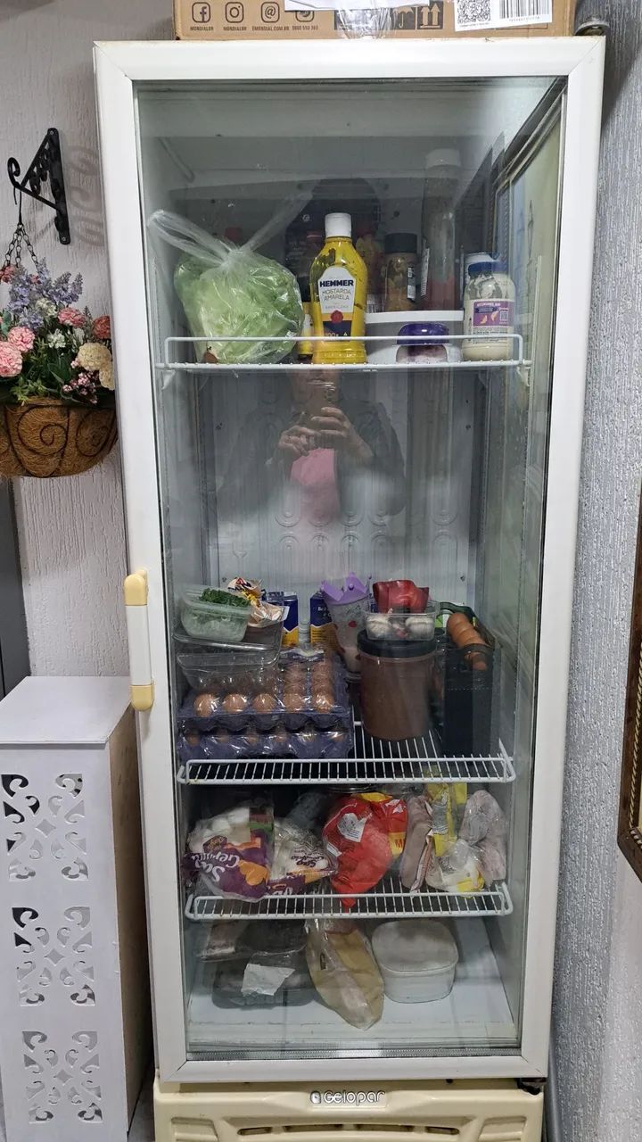 Refrigerador Expositor