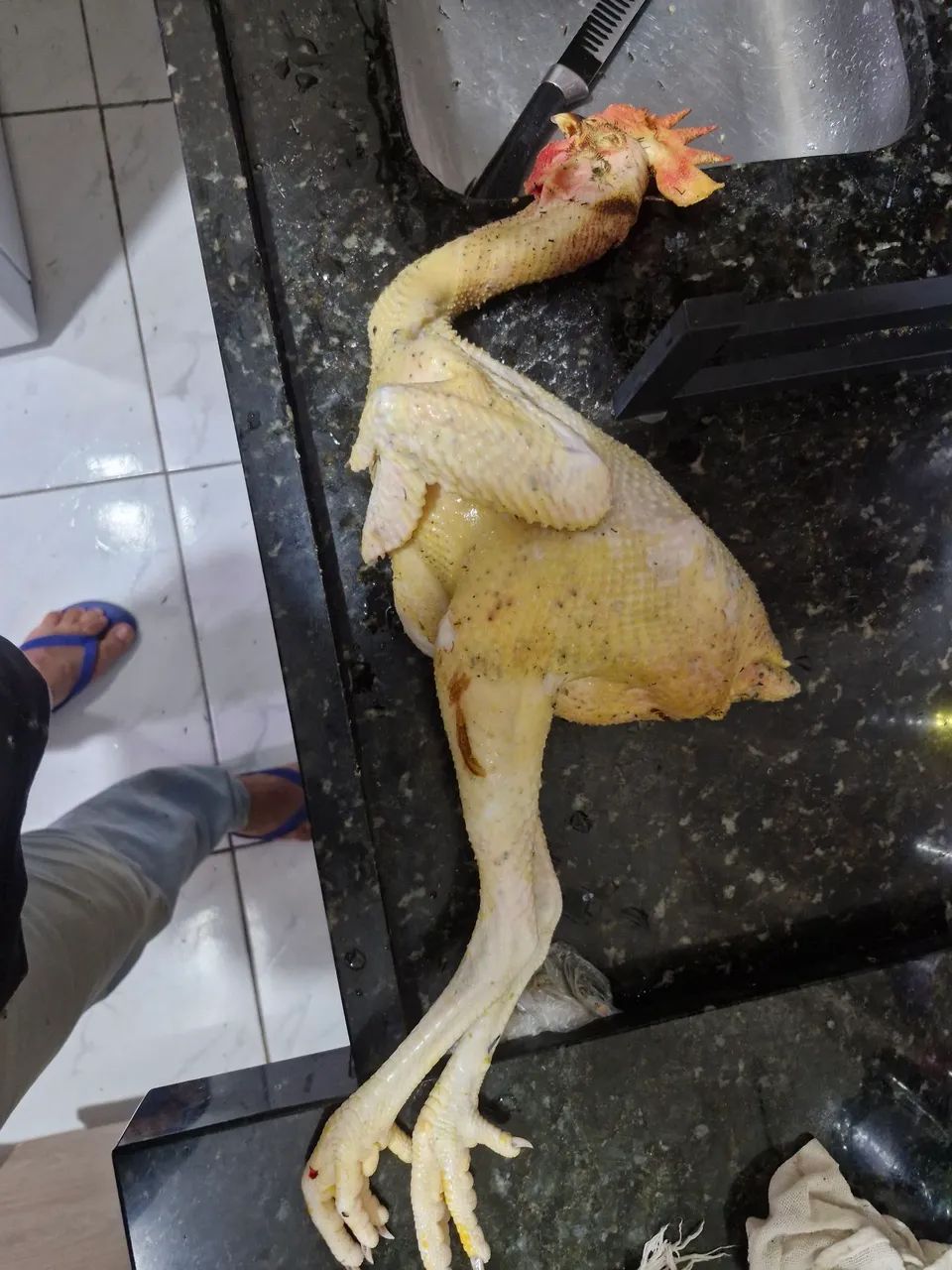 Frango e galinha Caipira  - Foto 3