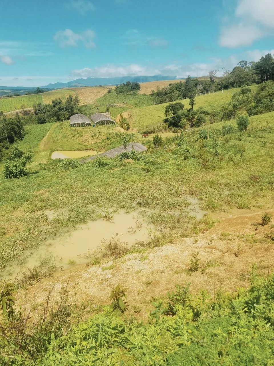 Terreno  - Foto 4