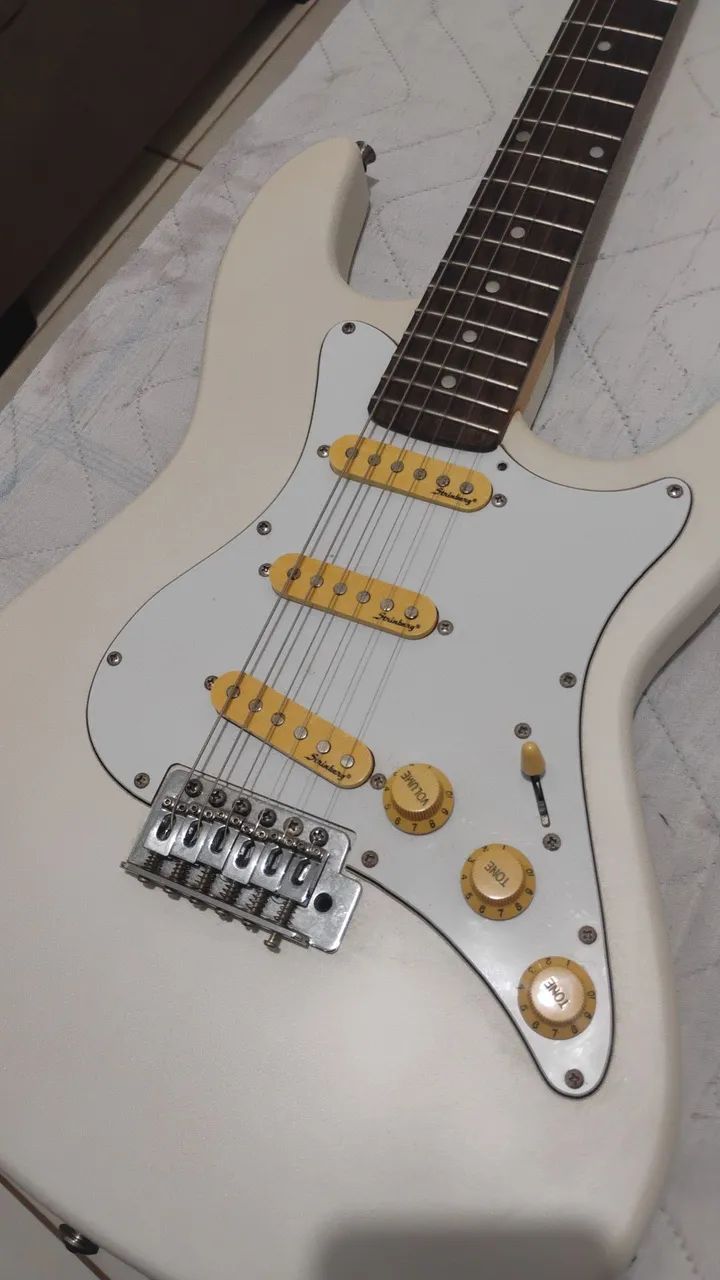 Guitarra Strinberg 