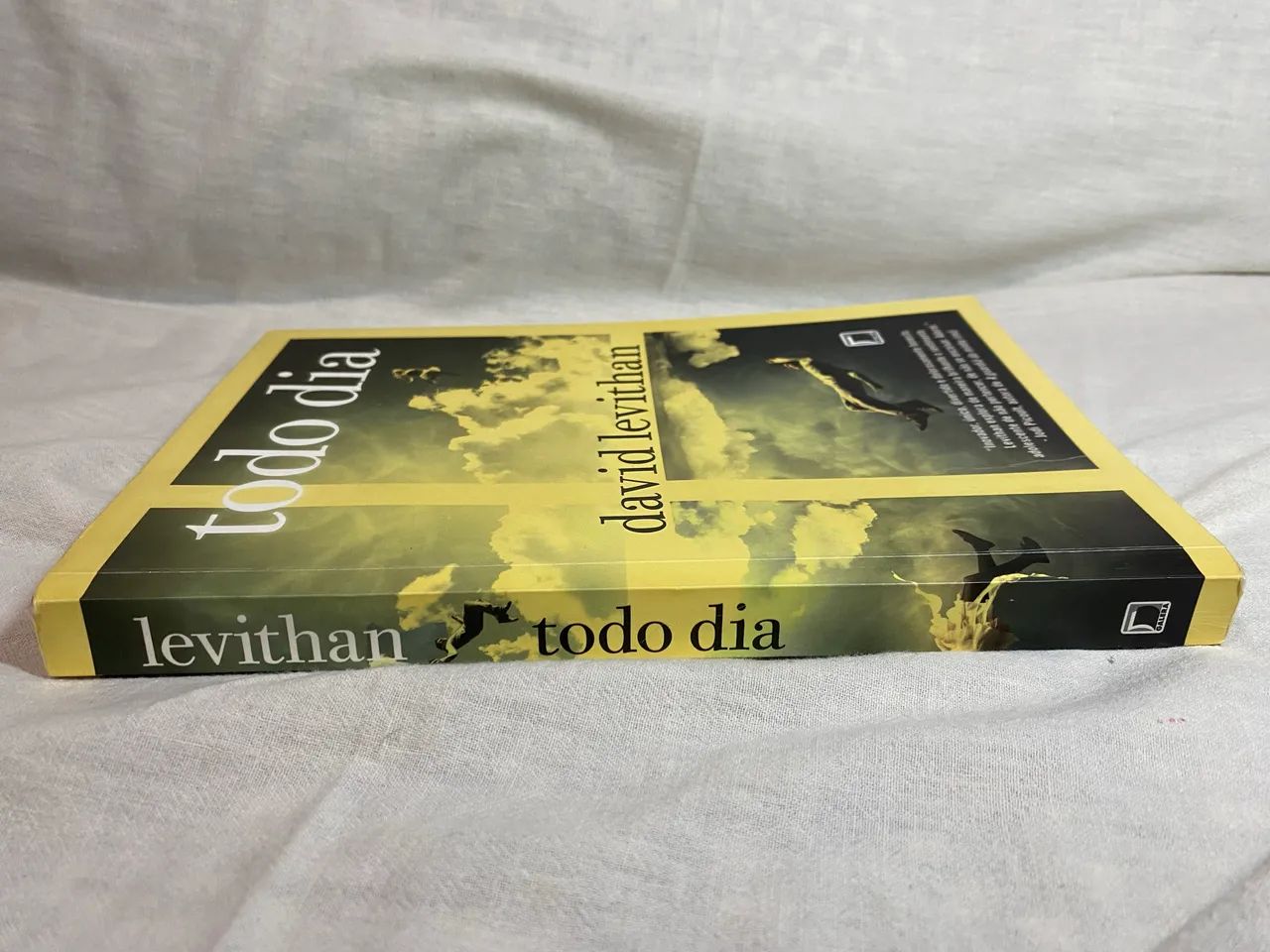 Livro Todo dia - David Levithan - Foto 3