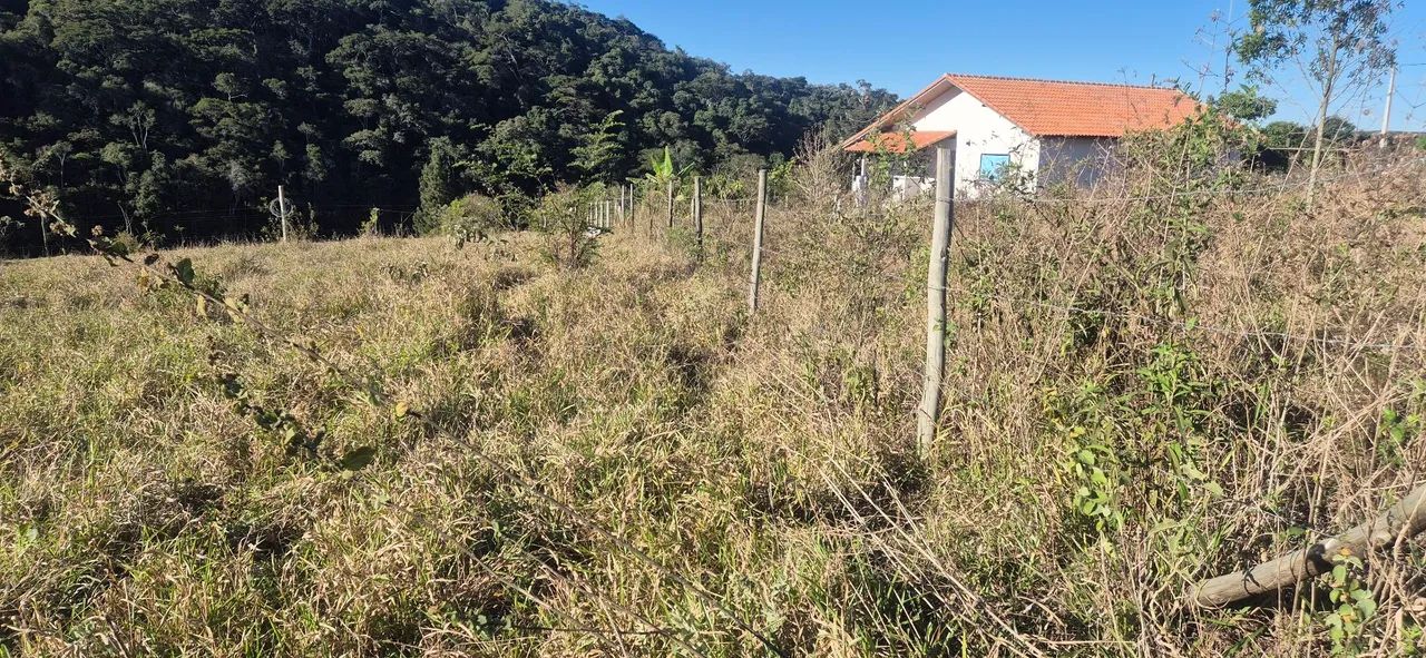 Chácara no Campo Alegre  - Foto 5