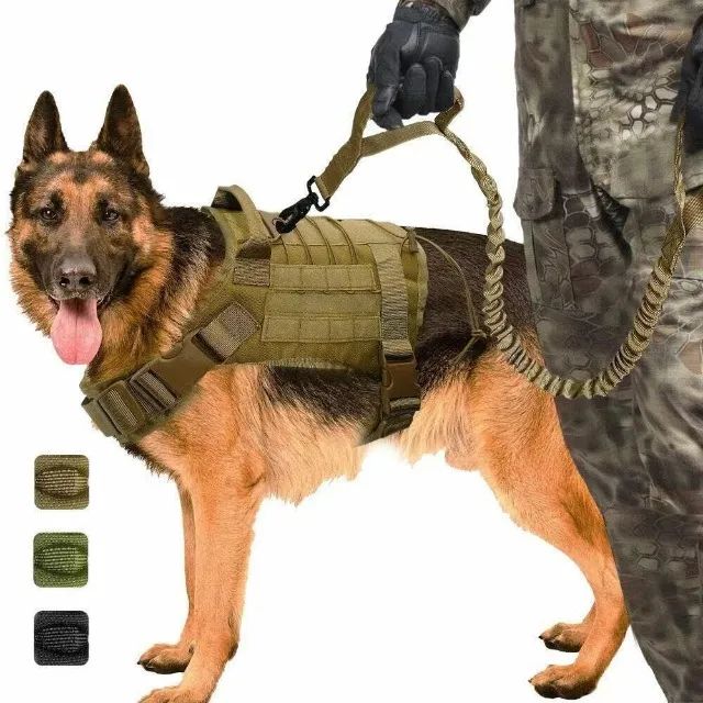 Colete Para Cachorro com Focinheira, Nylon, Fivelas Frontais de Ac?o (Camuflado, XL) - Foto 2