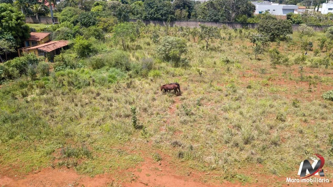 Venda - Setor de Chacara Sul - Foto 4