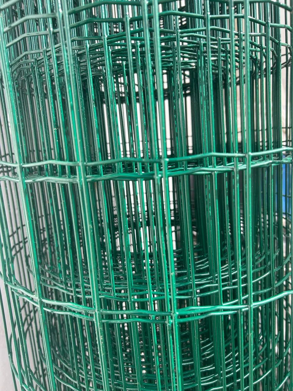 Galvanized Welded Wire Mesh493634824144824321