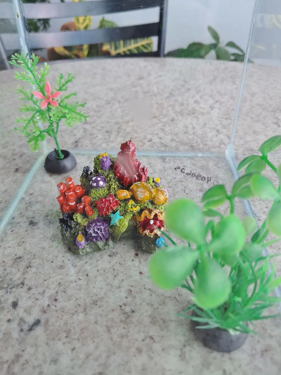 Aquário de vidro com decoração - Foto 5