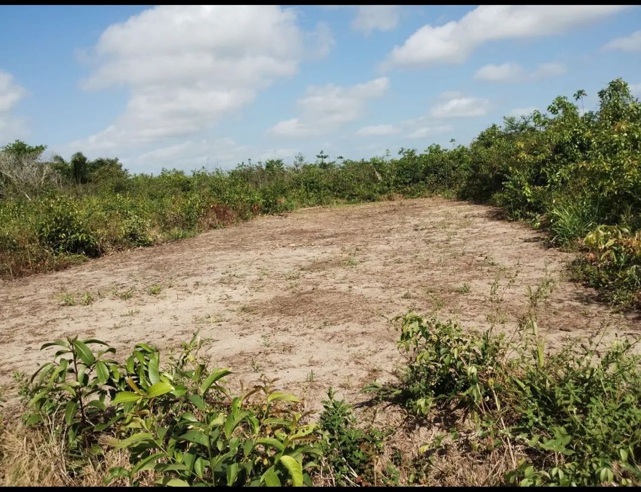 Terreno em Marapanim/Abacate