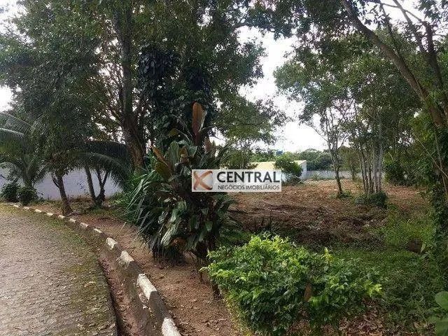 Terreno à venda, 4500 m² por R$ 980.000,00 - Portão - Lauro de Freitas/BA - Foto 9