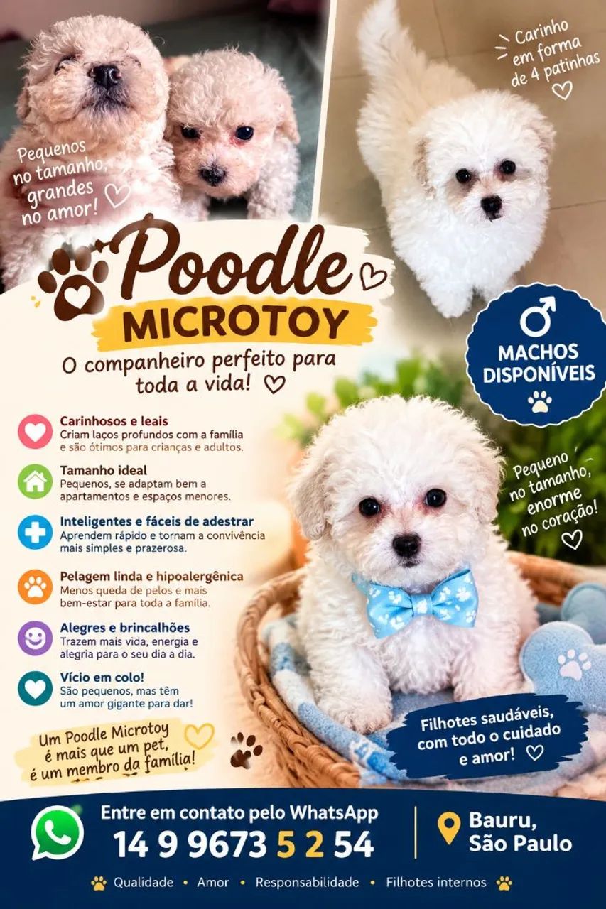 Poodle microtoy