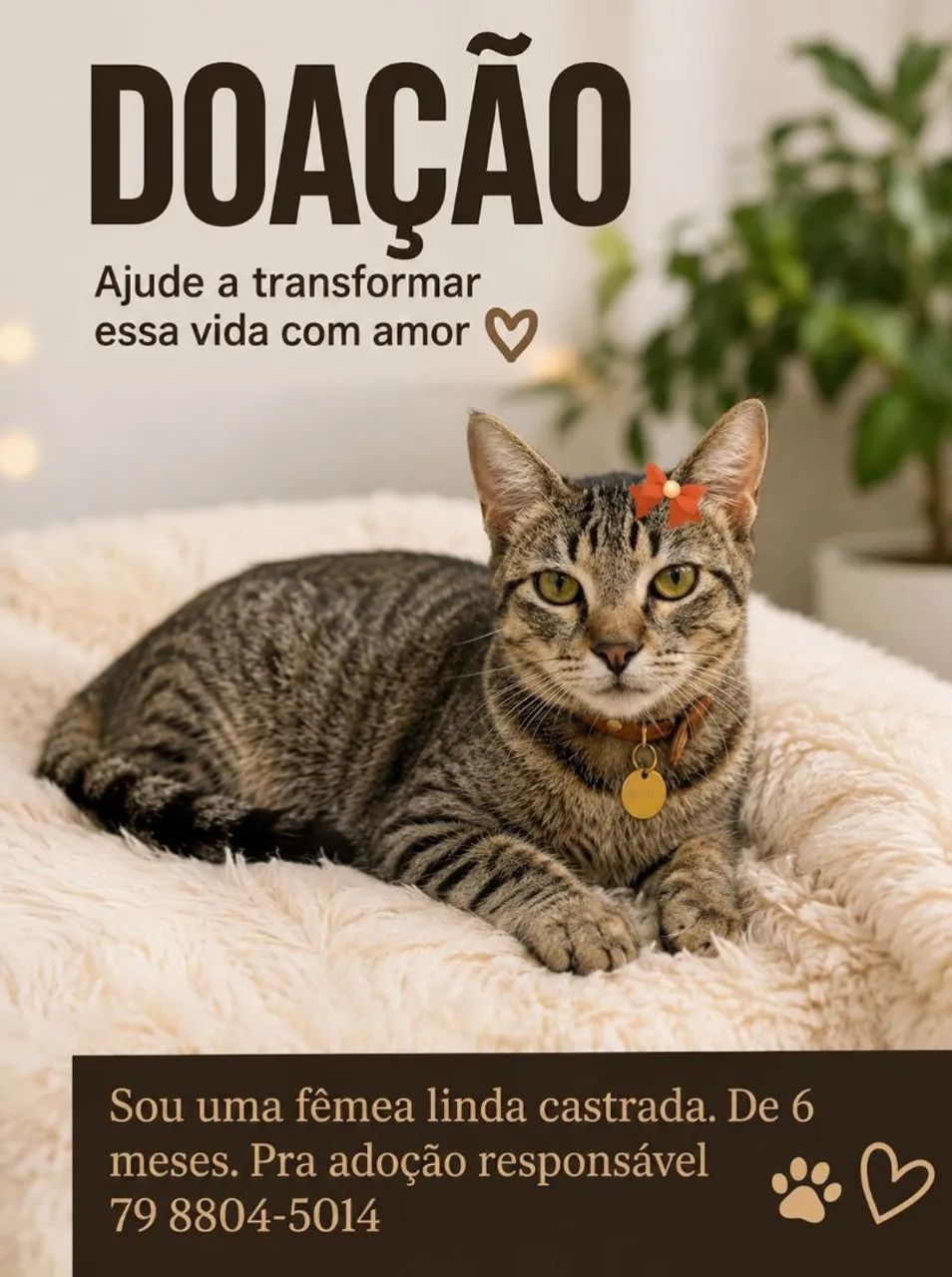 LINDEZAS - Foto 2