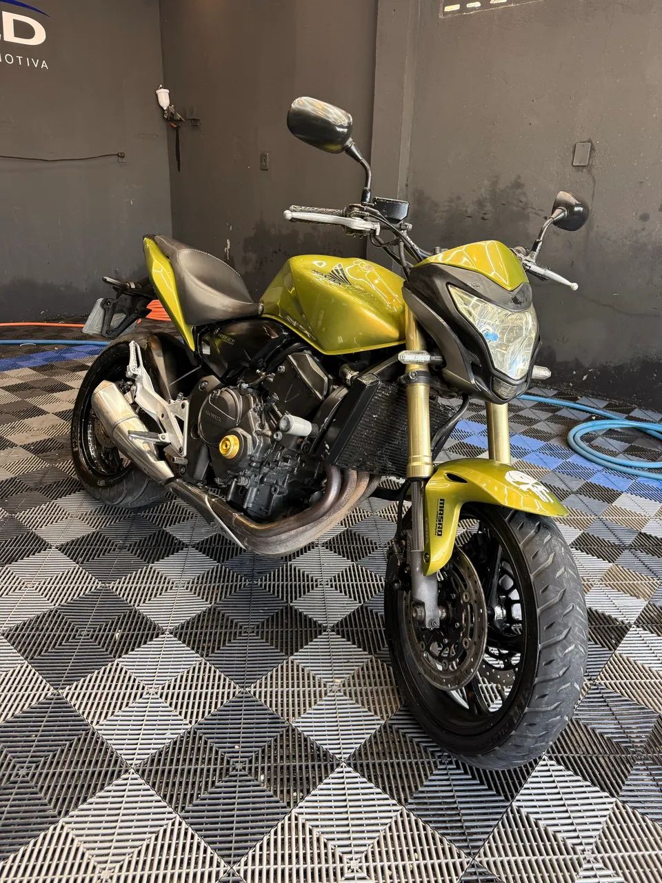 Hornet 600