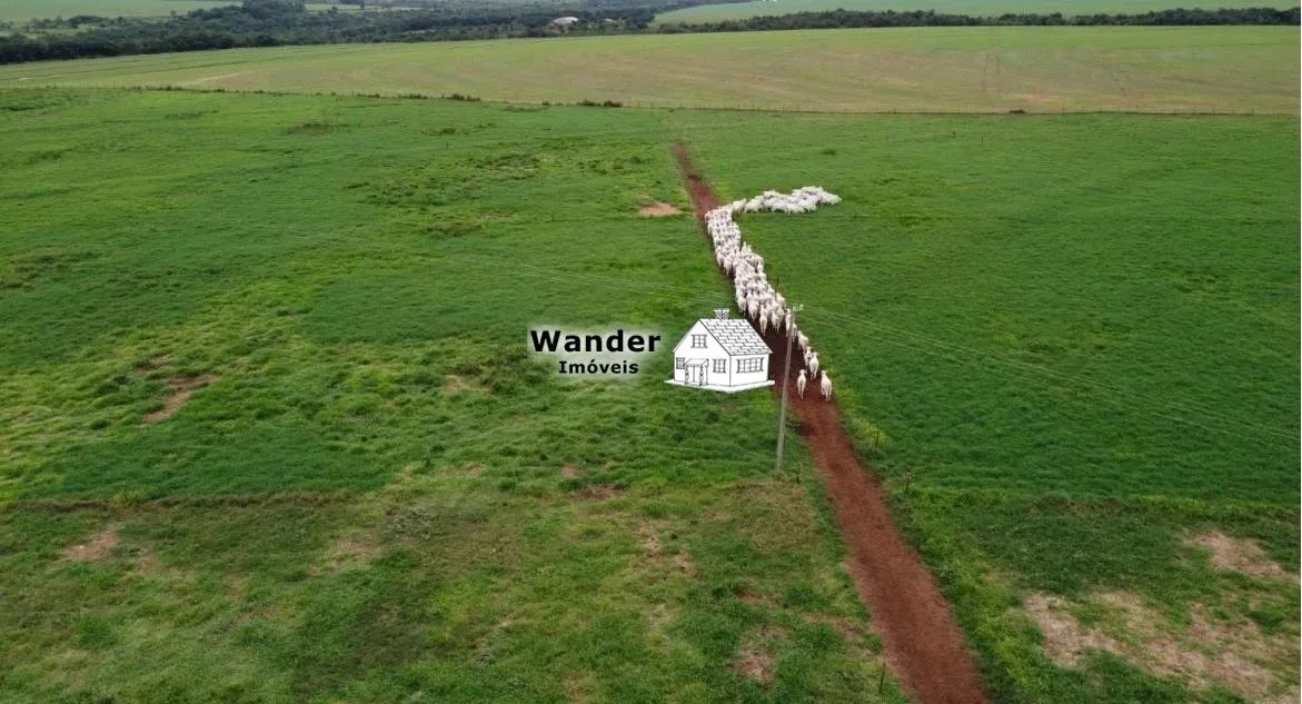 FAZENDA RURAL em SÃO GABRIEL DO OESTE - MS, centro - Foto 4
