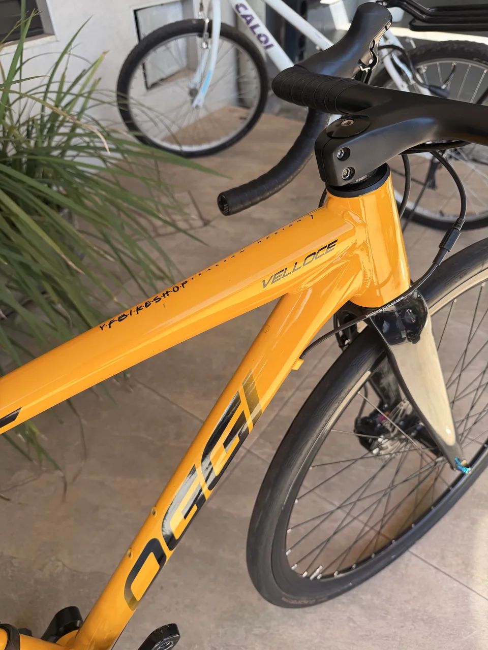 Oggi veloce  - Foto 2