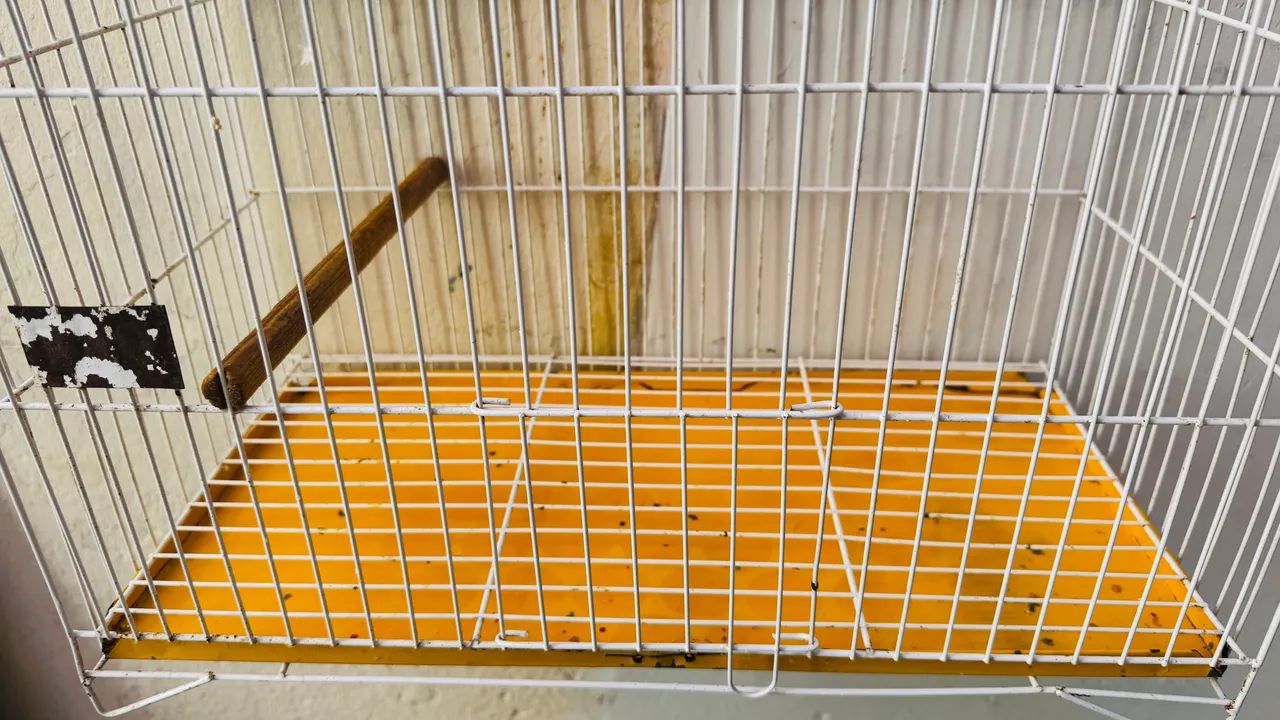 Gaiolas e ninheira  - Foto 4