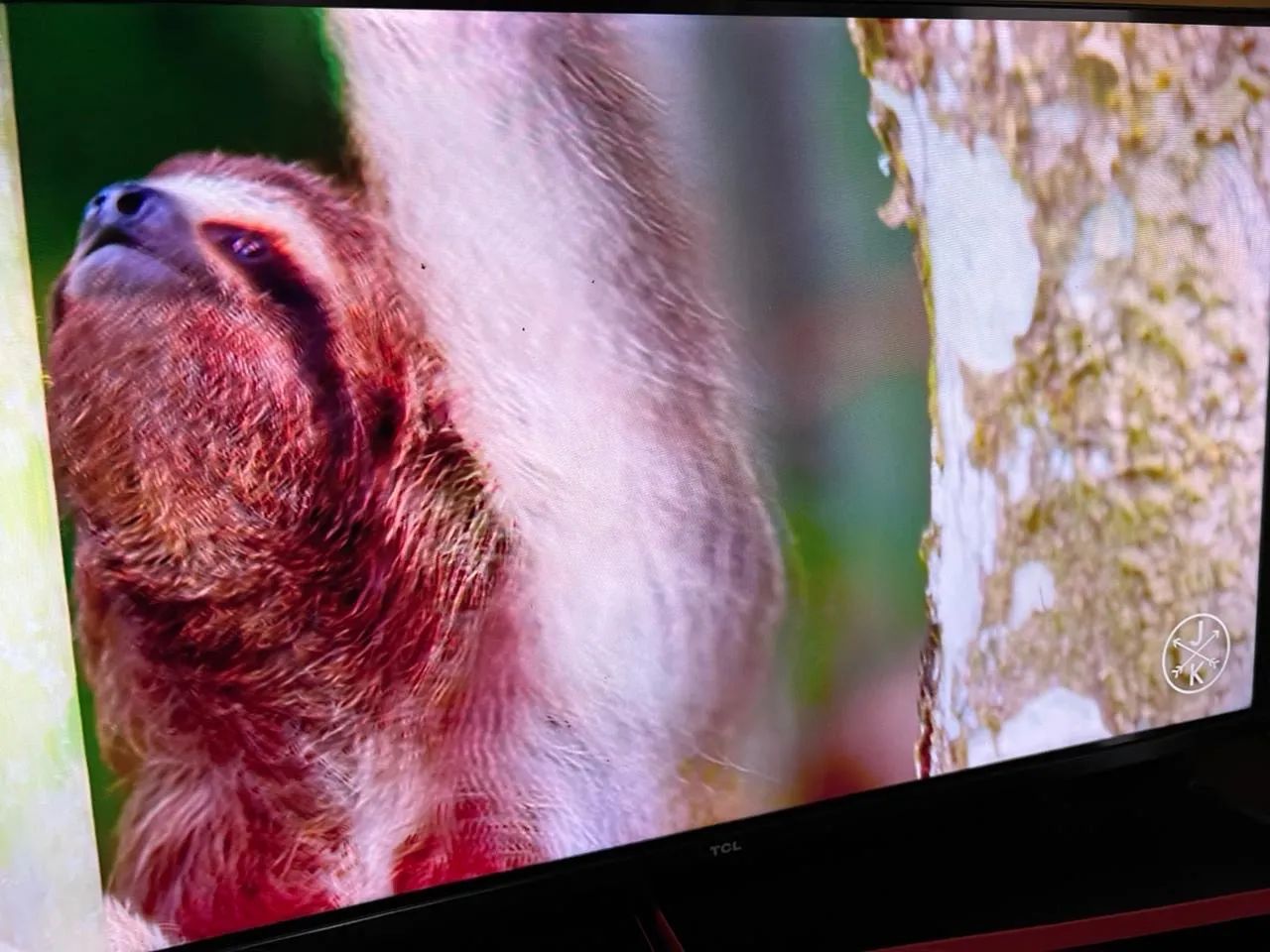 Tv 32 polegadas TCL  - Foto 3