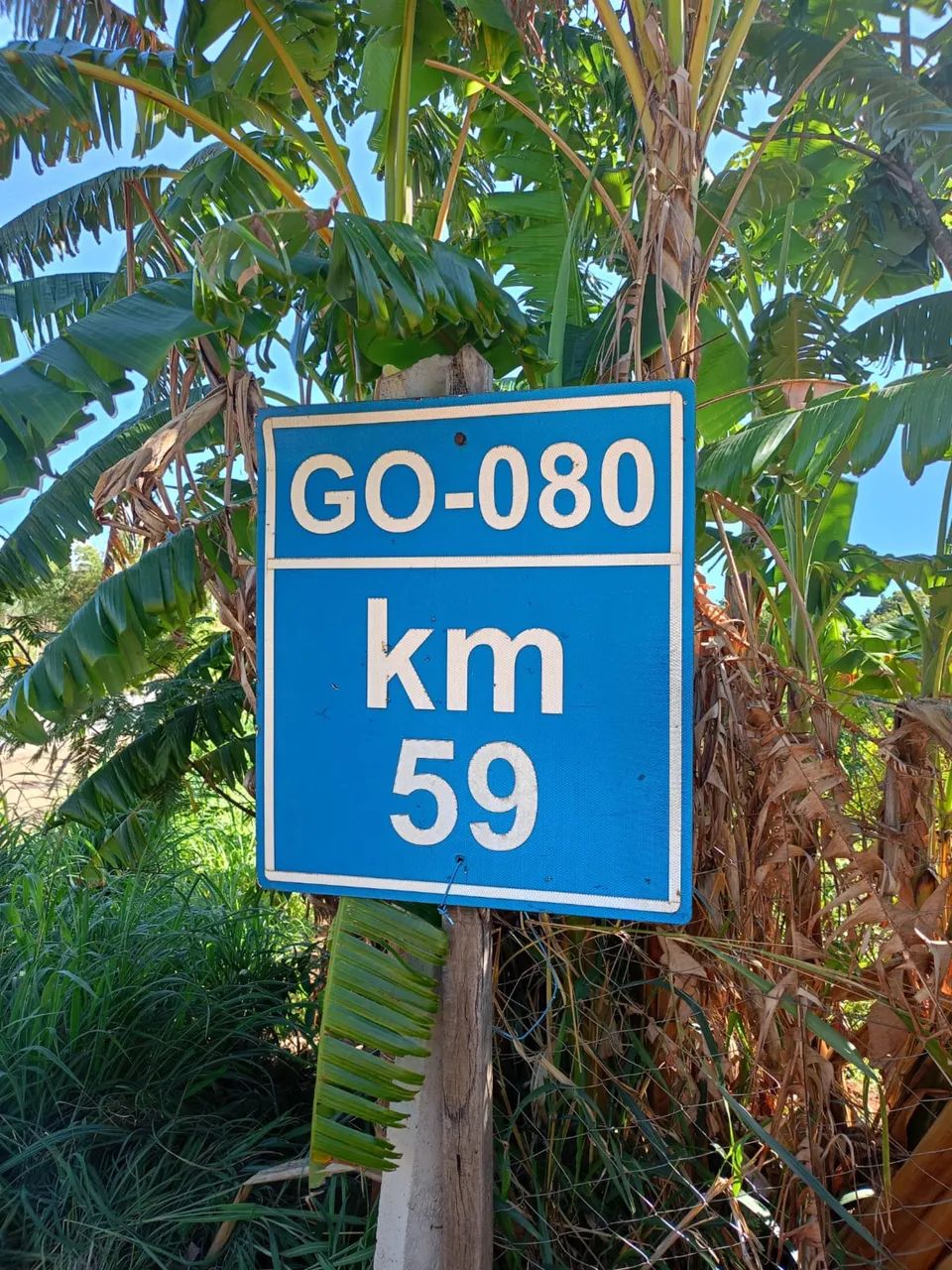Chácara a 59km de Goiânia  - Foto 2