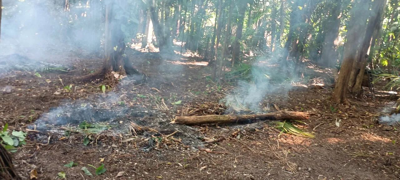 Terreno próximo anauerapucu medindo 10x50 aceito proposta tel. *01