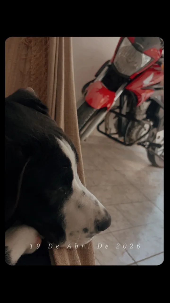 Doa-se  - Foto 3