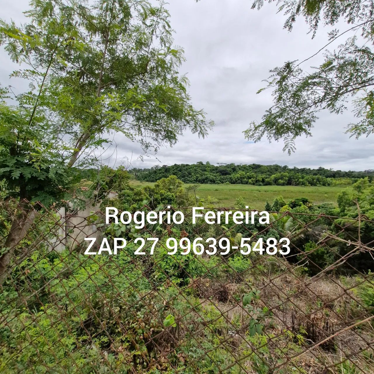 Excelente Chácara Retiro Congo Fundos para o brejo! - Foto 5