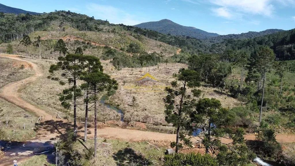 Terreno com 59,6 hectares em Rio Rufino - Foto 4
