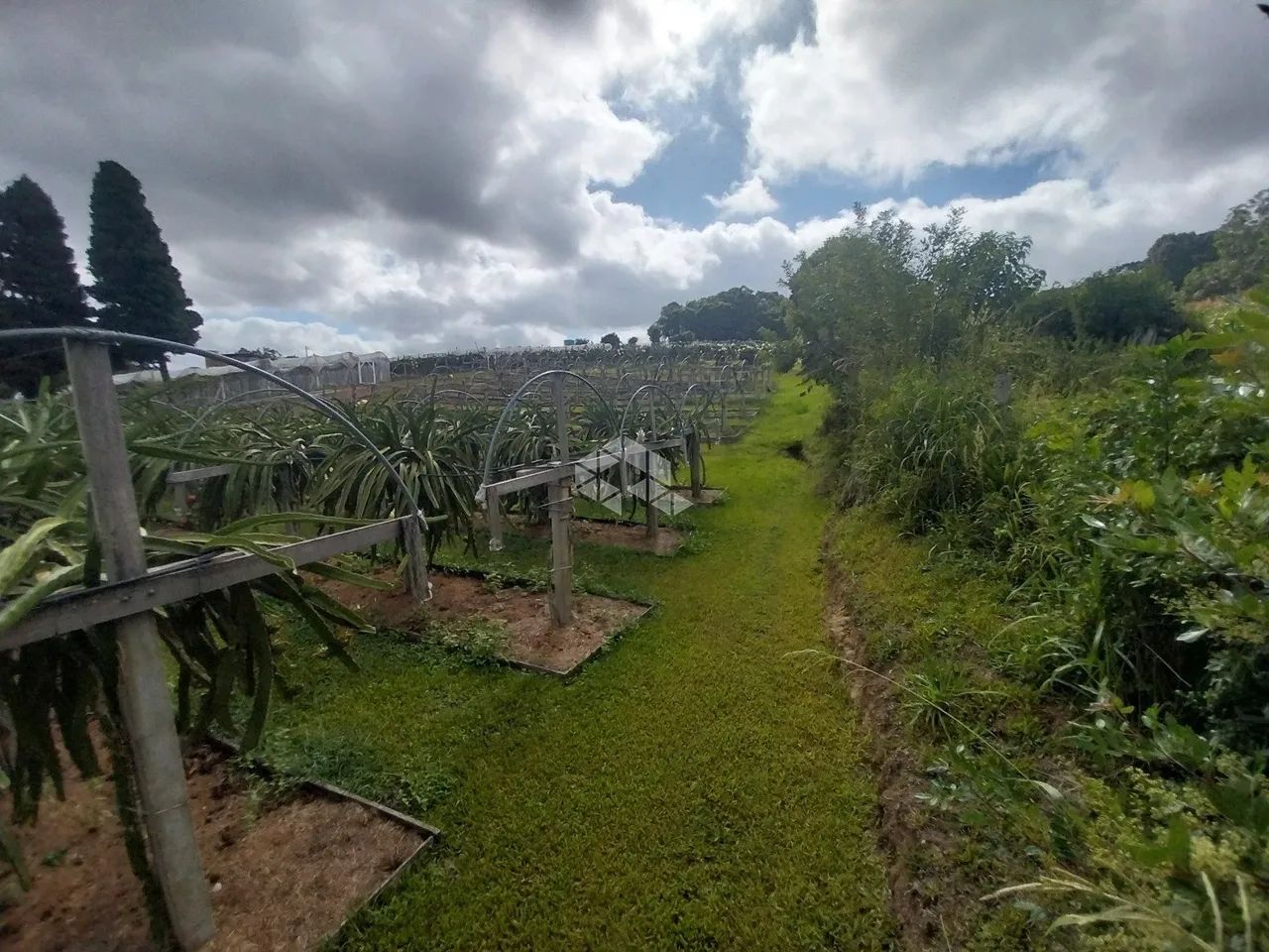Terreno Garibaldina - Foto 4