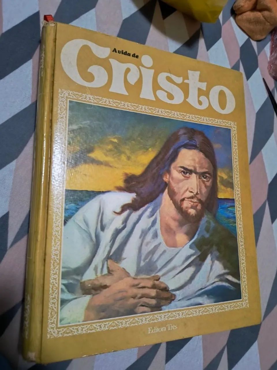 livro a vida de cristo