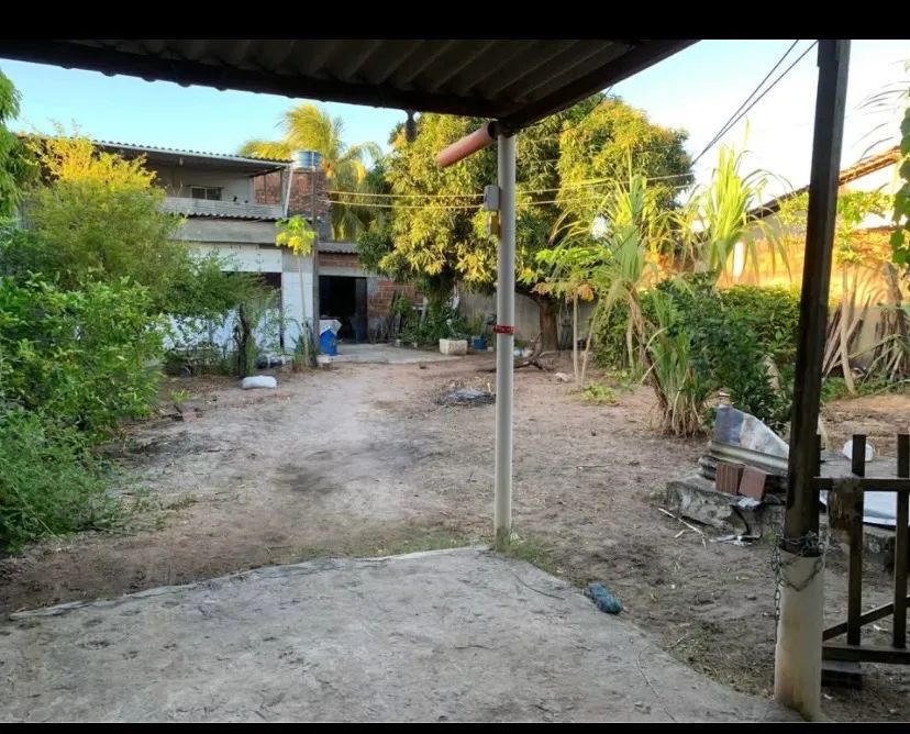Foto - Paulista - Pau Amarelo