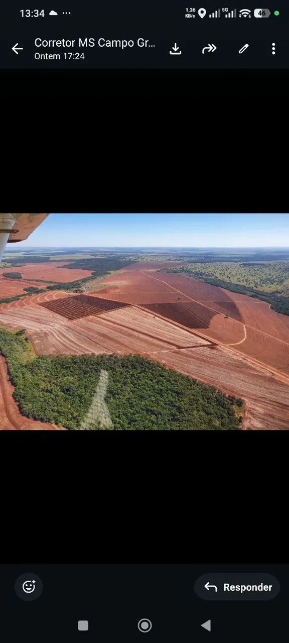 Fazenda de arrendamento 1.000 hec Nova Alvorada MS. 
