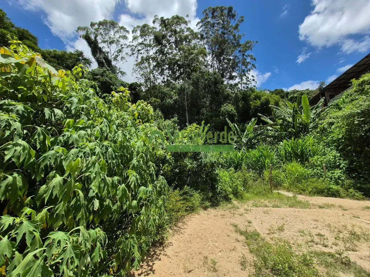 Terreno em ótima localização - Foto 3