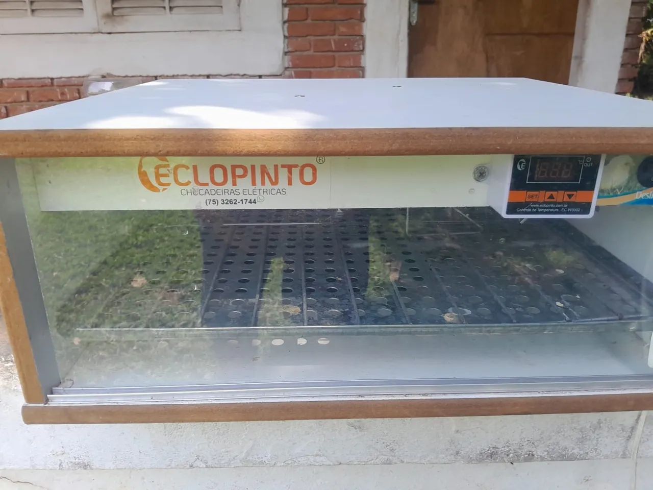 CHOCADEIRA ECLOPINTO AUTOMÁTICA ATÉ 80 OVOS - Nova