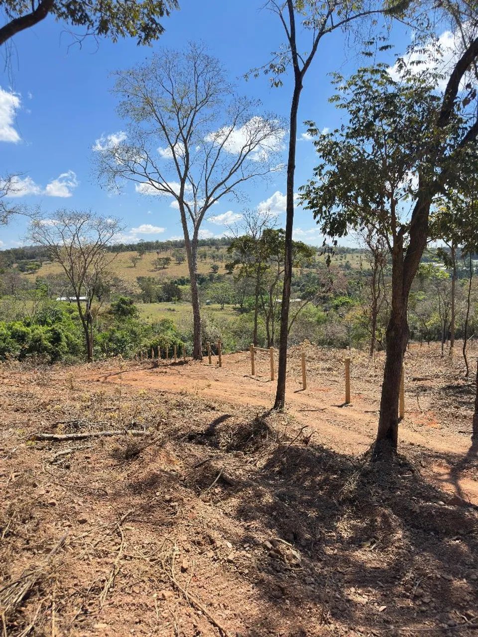 Sítio 2,5 hectares sem benfeitorias  - Foto 4