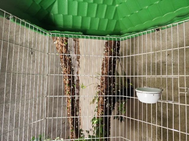 Viveiro gigante  - Foto 3