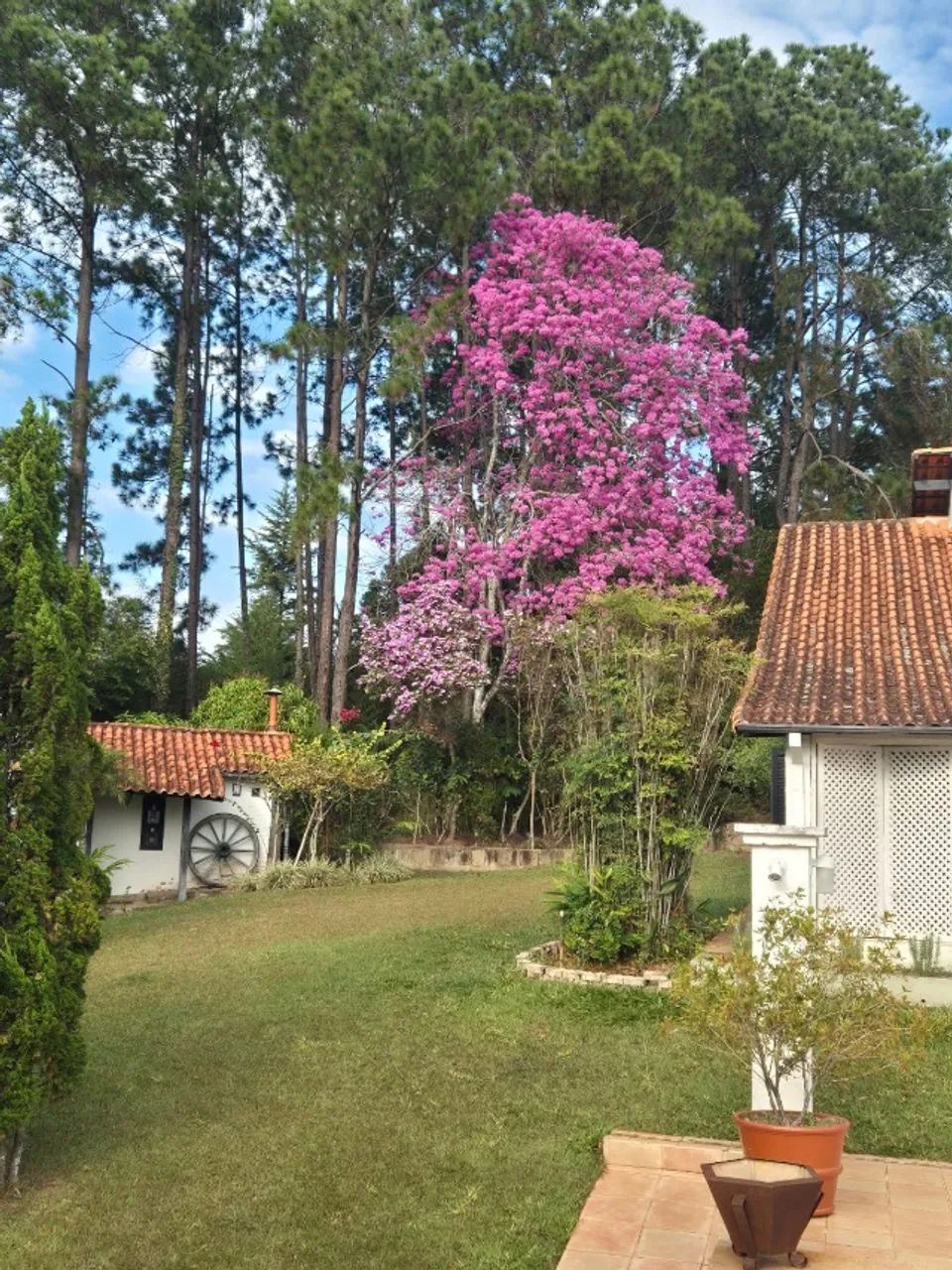 Vendo Belissima Propriedade em CUNHA  - Foto 3