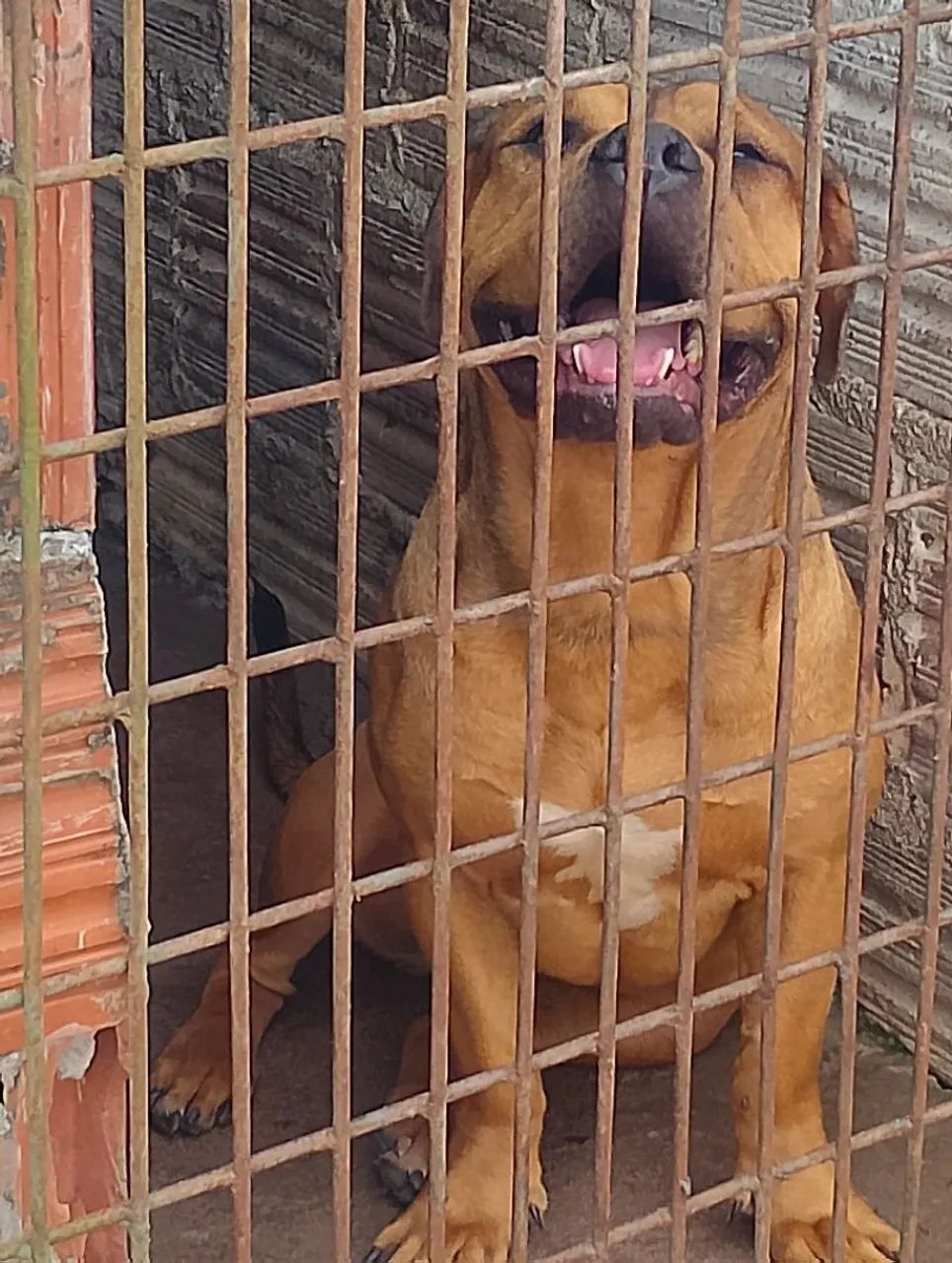 pra vende  - Foto 2
