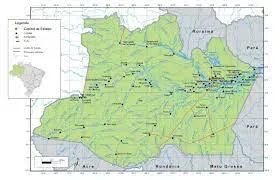 AMAZONAS: Fazenda a venda de 12 mil hectares, com a documentação completa e preço excelent - Foto 5