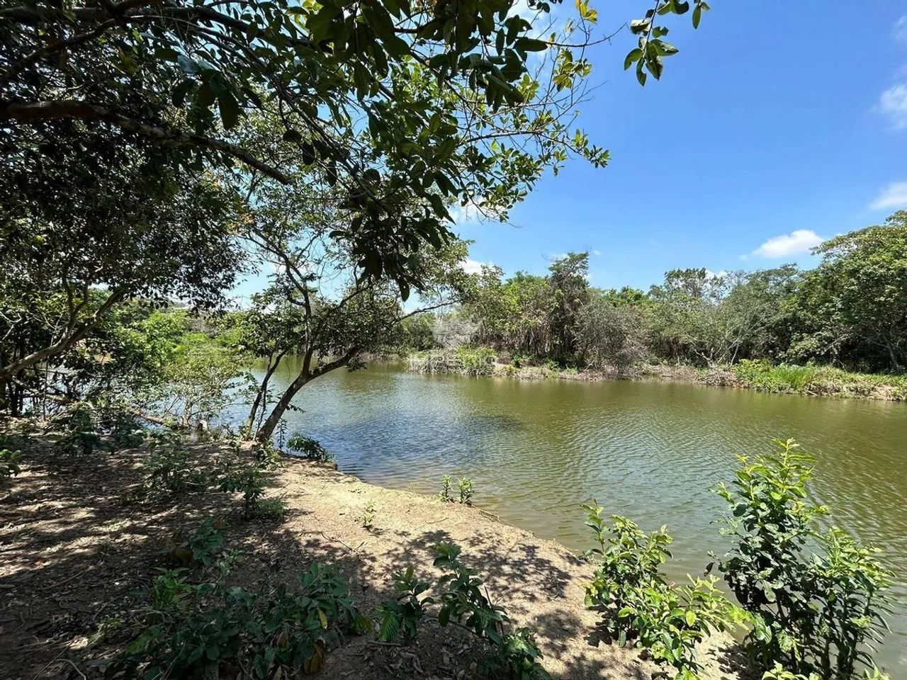 SÍTIO BETIM - 22.000M² - Foto 4