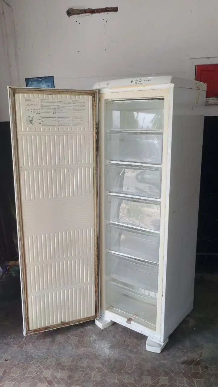 Freezer Electrolux RE26 - Foto 3