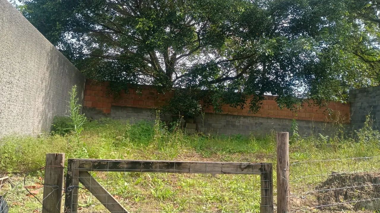 EXCELENTE TERRENO À VENDA EM FLORIANÓPOLIS! - Foto 3