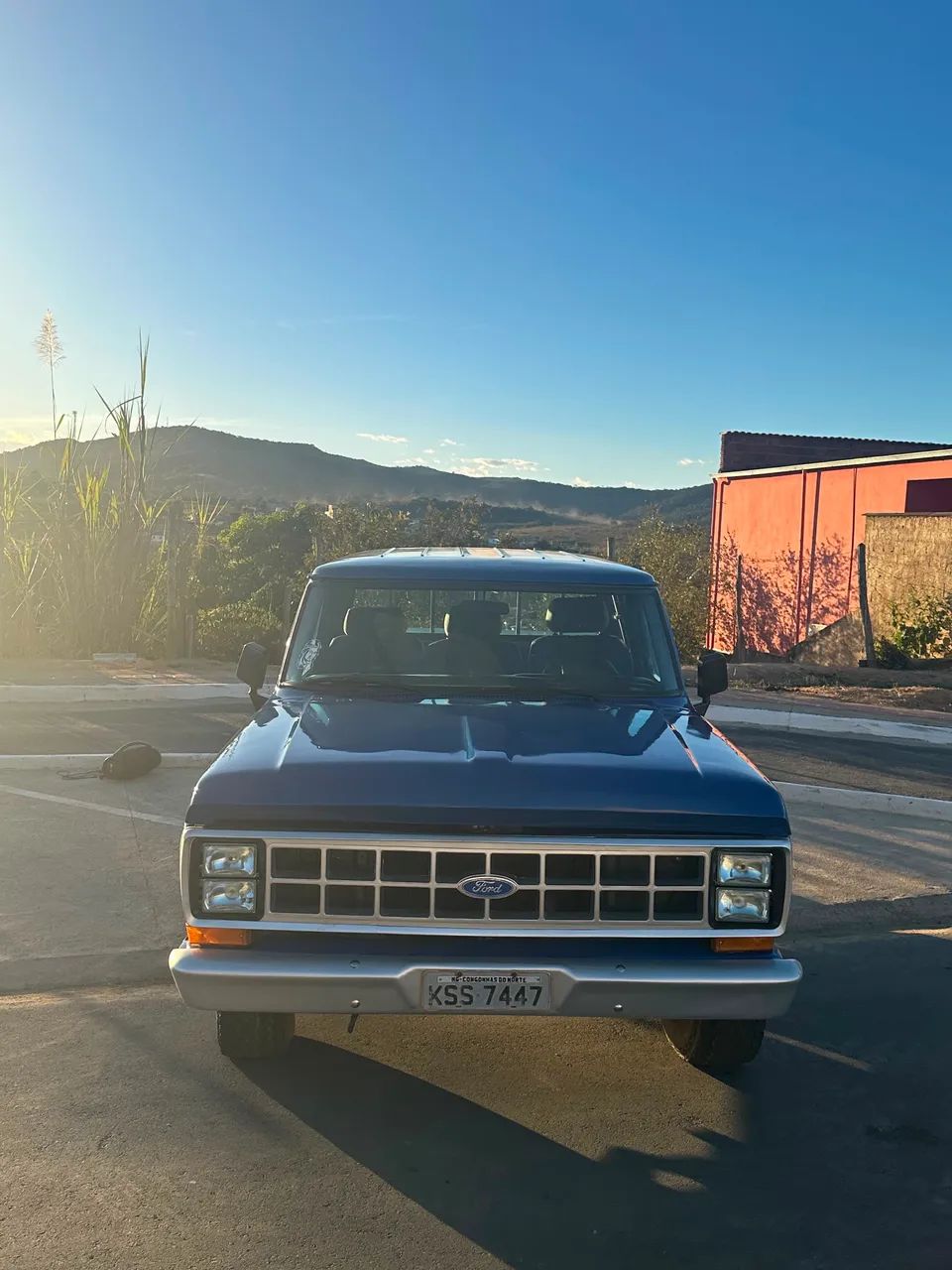 Ford F-1000 S. S. Diesel / S.s. Diesel Turbo 1988