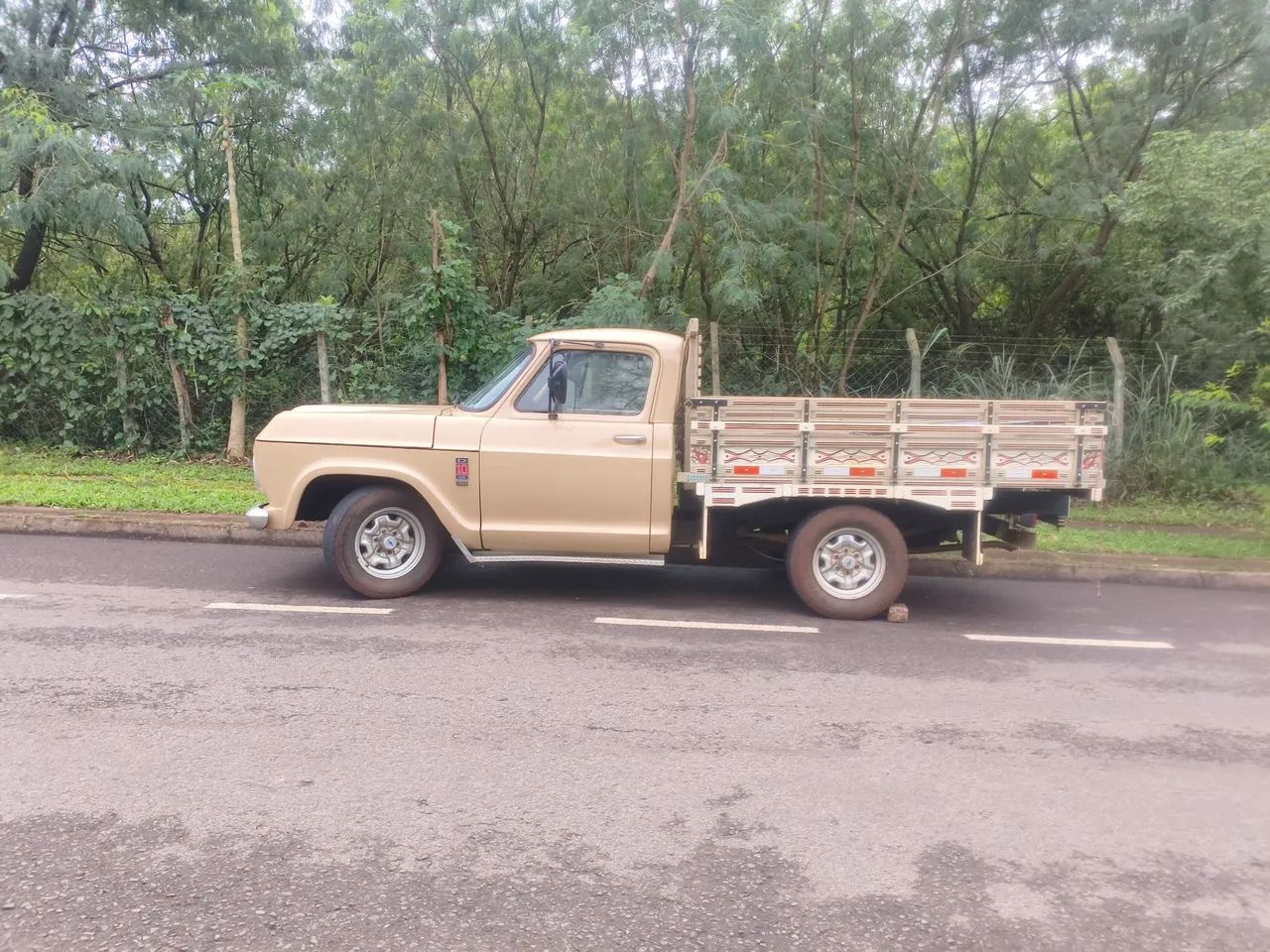 Chevrolet D-10 CD Diesel 1981 - Foto 5