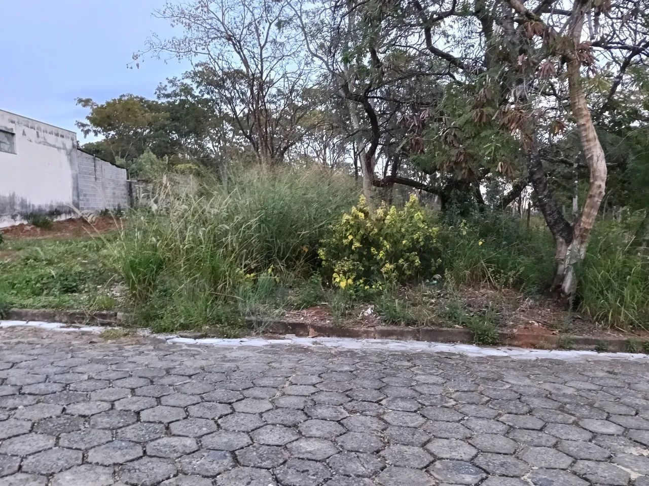 Vendo lote bairro floresta  - Foto 3