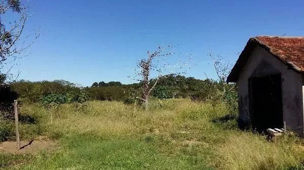 Terreno para Venda - 0m², 0 dormitórios, Lami - Foto 5