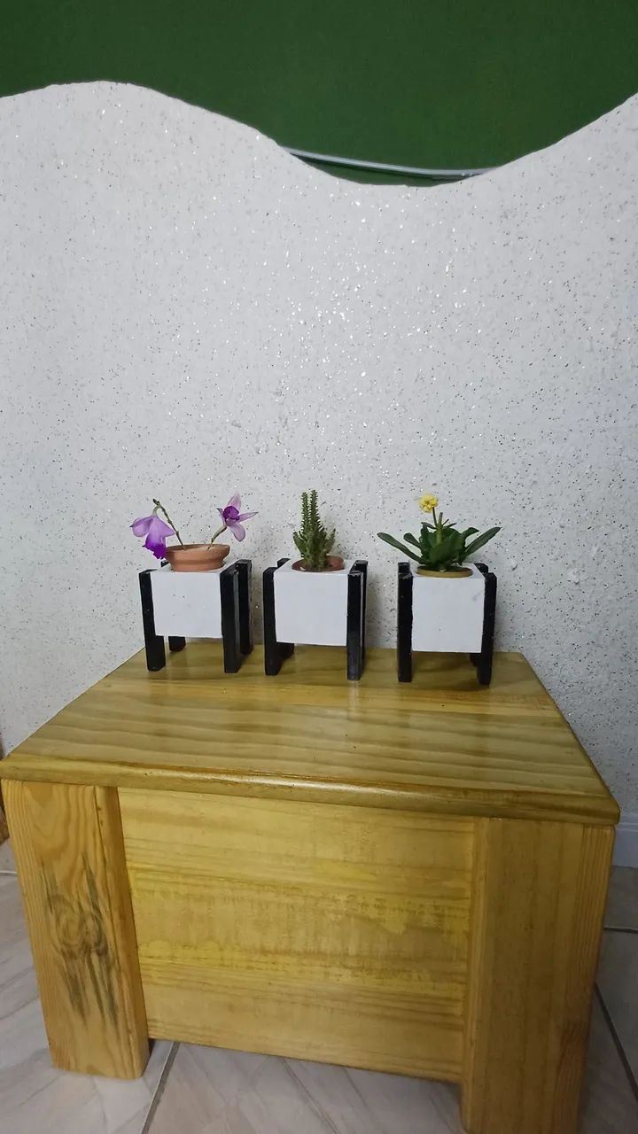 Vasinho de madeira para suculentas  - Foto 3