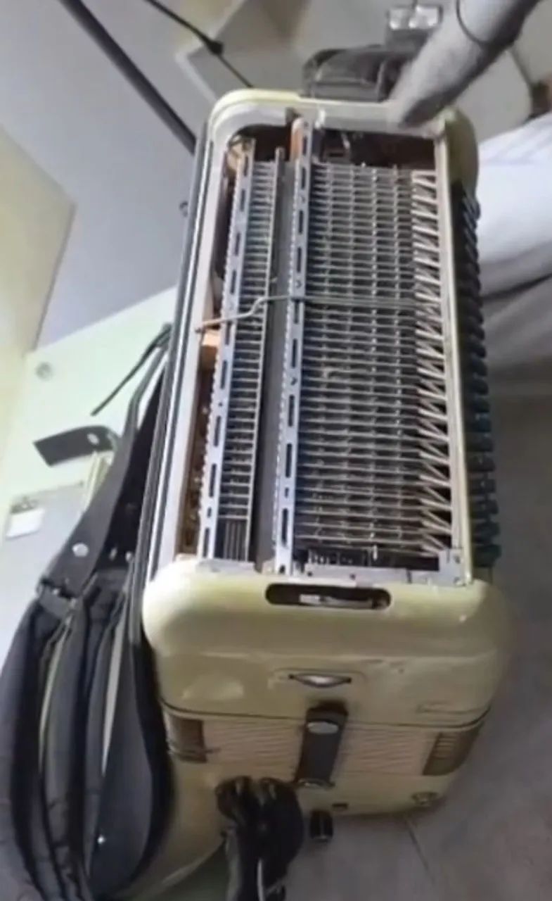 Acordeon Luthier - Juniu Bala - Foto 3