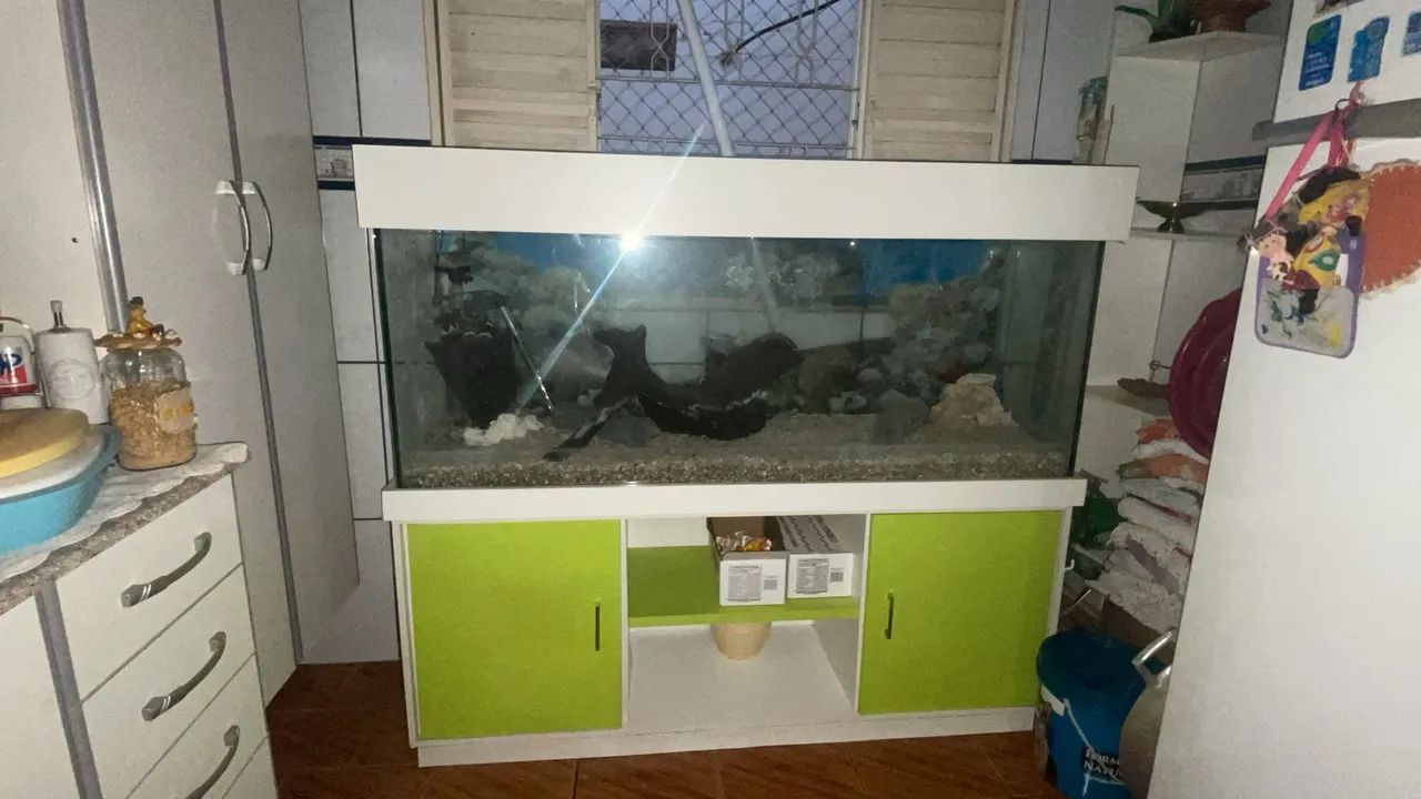 Áquario de Peixes Completo! - Foto 2