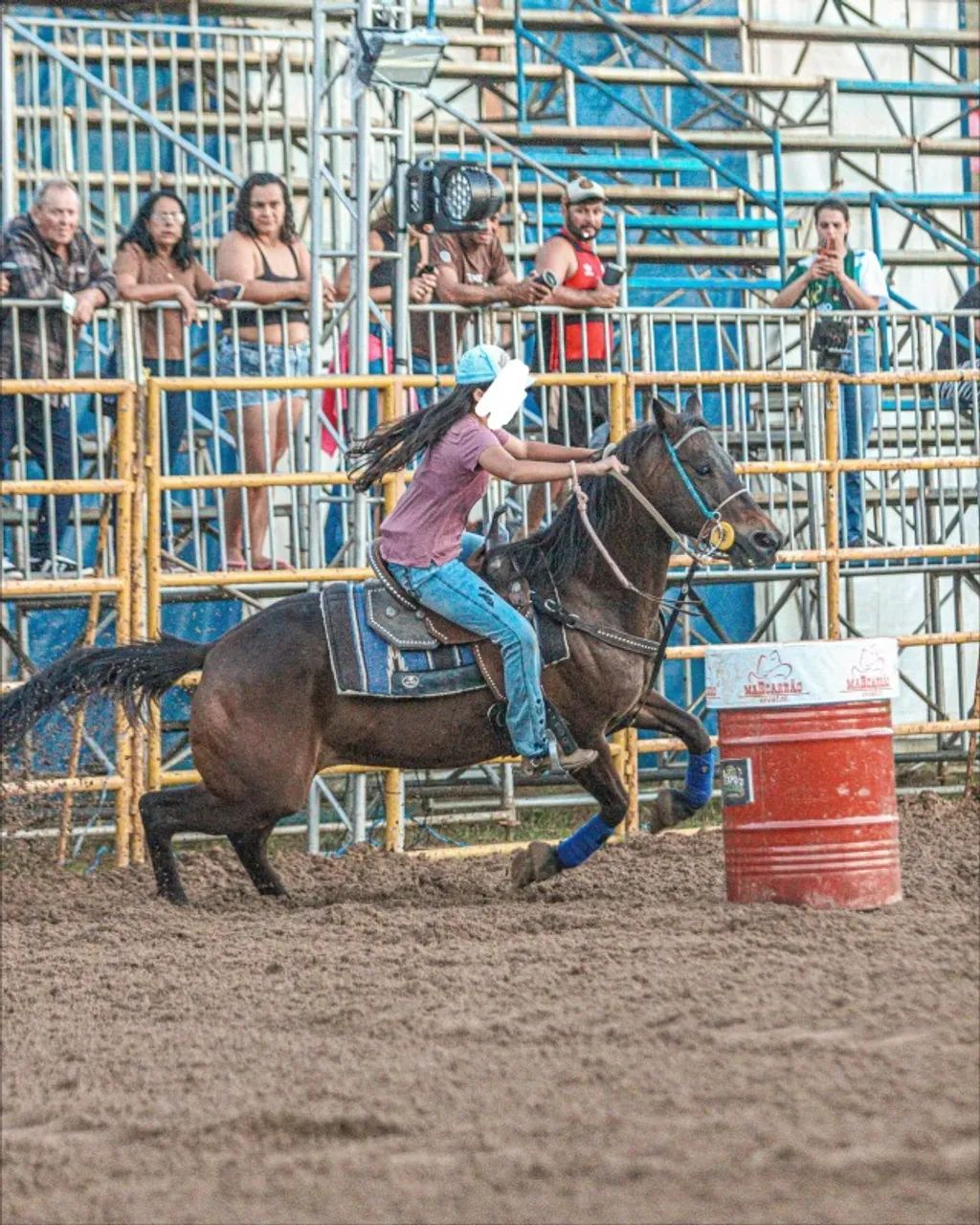 CAVALO QUARTO DE MILHA - Foto 2