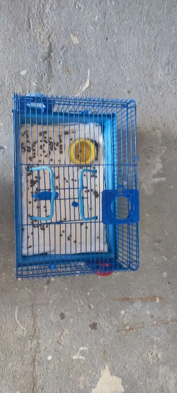 Gaiola hamster