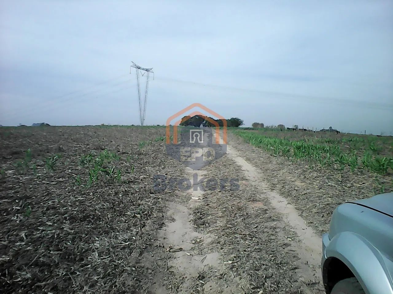 Área em Área Rural de Sumaré - Sumaré, SP - Foto 3